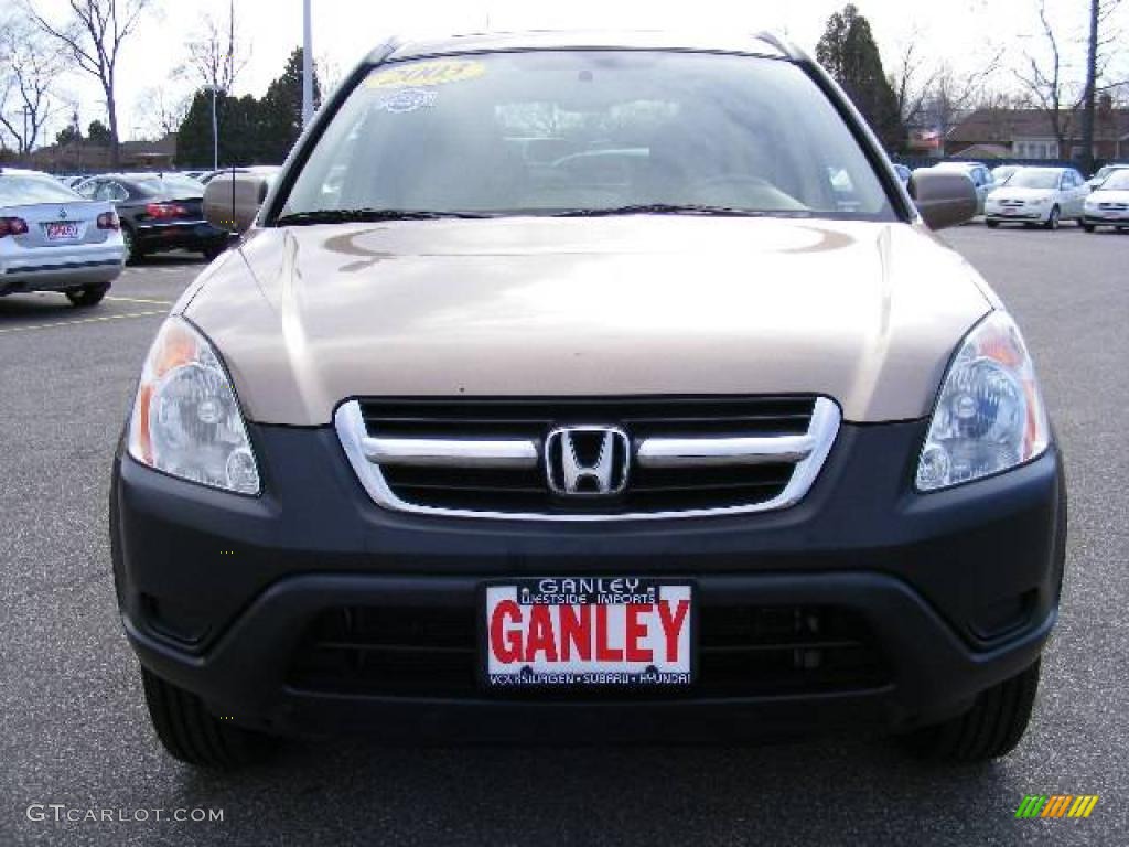 2003 CR-V EX 4WD - Mojave Mist Metallic / Saddle photo #9