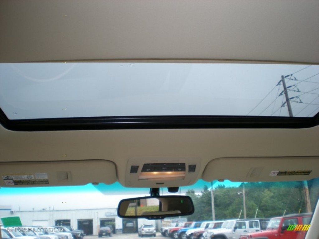 2010 RX 350 AWD - Truffle Brown Mica / Light Gray/Espresso Birds-Eye Maple photo #11