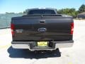 2006 Dark Stone Metallic Ford F150 XLT SuperCrew  photo #5