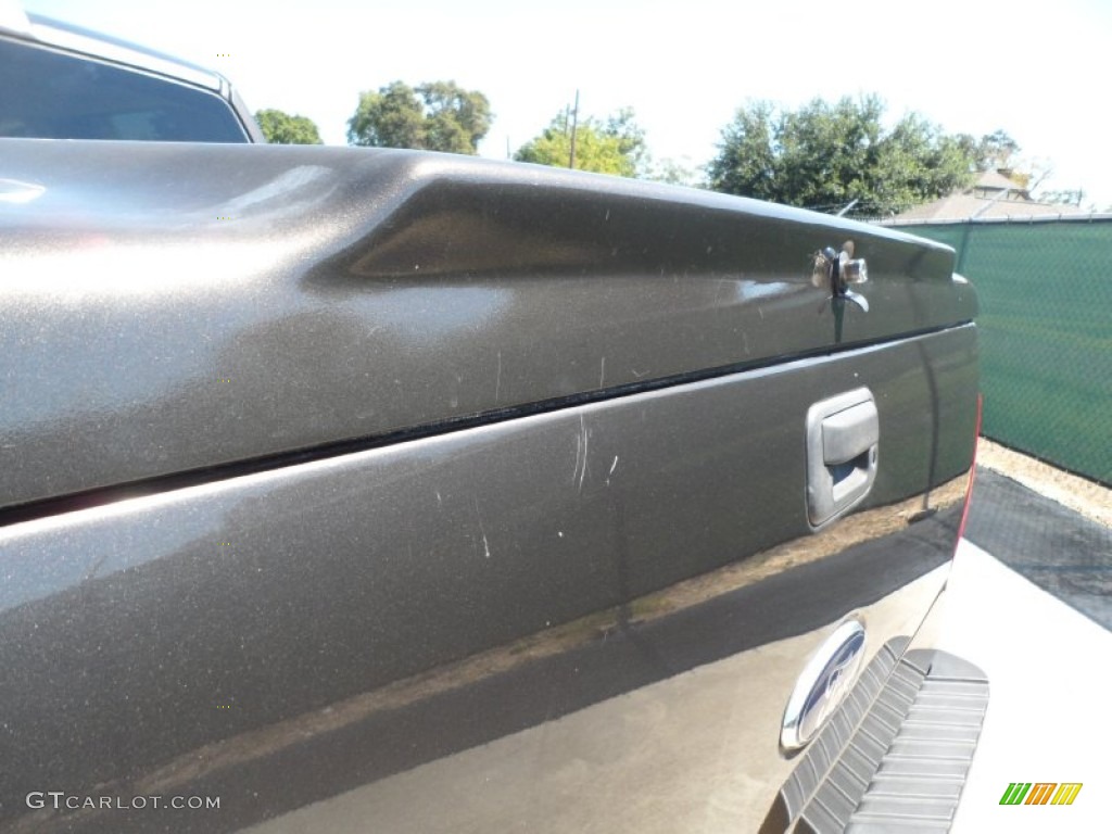 2006 F150 XLT SuperCrew - Dark Stone Metallic / Tan photo #22