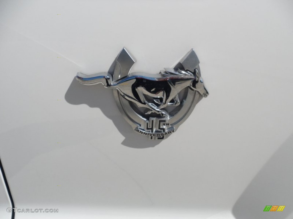 2009 Ford Mustang GT Coupe Marks and Logos Photo #53809267