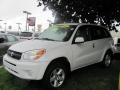 Super White - RAV4 4WD Photo No. 1