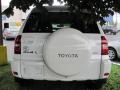 Super White - RAV4 4WD Photo No. 16