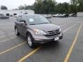 2010 Urban Titanium Metallic Honda CR-V EX-L AWD  photo #1