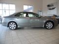 Silver Jade Metallic - RL Technology Photo No. 4