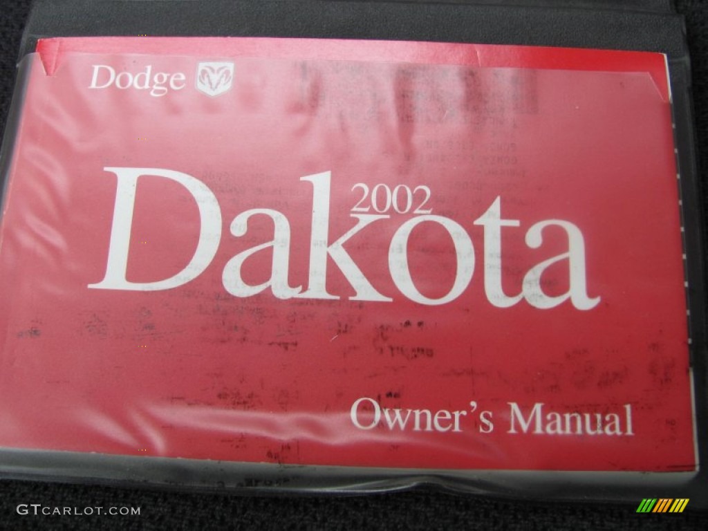 2002 Dakota SLT Quad Cab - Graphite Metallic / Dark Slate Gray photo #4