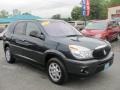 2005 Dark Steel Blue Metallic Buick Rendezvous CX  photo #19