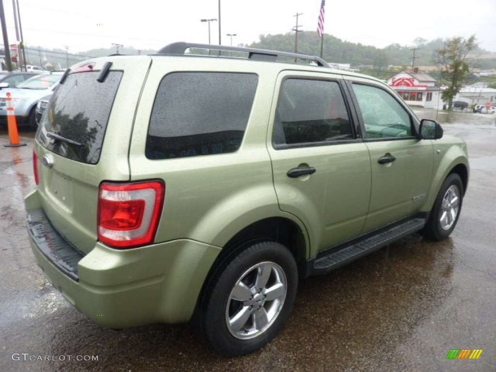 2008 Escape XLT V6 4WD - Kiwi Green Metallic / Camel photo #4