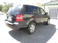 2008 Midnight Blue Kia Sorento LX  photo #13