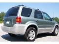 Titanium Green Metallic - Escape Hybrid Photo No. 3
