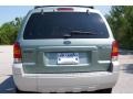 Titanium Green Metallic - Escape Hybrid Photo No. 6