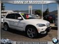 Alpine White - X5 4.8i Photo No. 1
