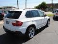 Alpine White - X5 4.8i Photo No. 8