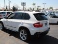 Alpine White - X5 4.8i Photo No. 10