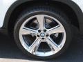Alpine White - X5 4.8i Photo No. 11