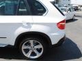 Alpine White - X5 4.8i Photo No. 12