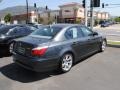 2009 Platinum Grey Metallic BMW 5 Series 535i Sedan  photo #8