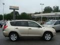 Savannah Metallic - RAV4 4WD Photo No. 1