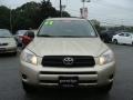 Savannah Metallic - RAV4 4WD Photo No. 2