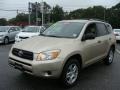 Savannah Metallic - RAV4 4WD Photo No. 3