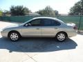 Gold Ash Metallic - Taurus SEL Photo No. 6
