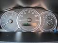 Gray Gauges Photo for 2005 Buick LaCrosse #53841498