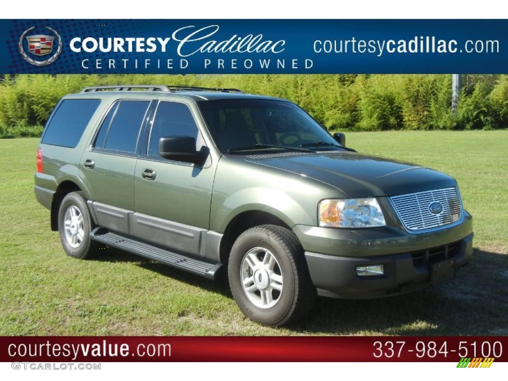 2006 Expedition XLT - Estate Green Metallic / Medium Parchment photo #1