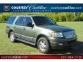 Estate Green Metallic 2006 Ford Expedition XLT