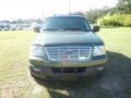 Estate Green Metallic - Expedition XLT Photo No. 2