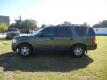 2006 Estate Green Metallic Ford Expedition XLT  photo #6