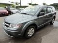 2010 Silver Steel Metallic Dodge Journey SE  photo #4