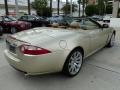 Winter Gold Metallic - XK XK8 Convertible Photo No. 10