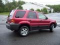 2007 Redfire Metallic Ford Escape XLT 4WD  photo #4