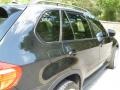 Black Sapphire Metallic - X5 4.8i Photo No. 11