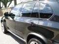 Black Sapphire Metallic - X5 4.8i Photo No. 15