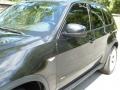 Black Sapphire Metallic - X5 4.8i Photo No. 18