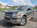 2004 Estate Green Metallic Ford Expedition Eddie Bauer 4x4  photo #1