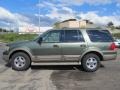 2004 Estate Green Metallic Ford Expedition Eddie Bauer 4x4  photo #2