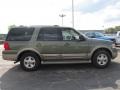 2004 Estate Green Metallic Ford Expedition Eddie Bauer 4x4  photo #4