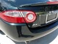 2009 Botanical Green Jaguar XK XK8 Convertible  photo #12