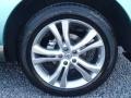 2011 Nissan Murano CrossCabriolet AWD Wheel and Tire Photo