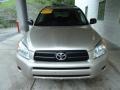 Savannah Metallic - RAV4 I4 Photo No. 6