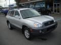 Pewter 2002 Hyundai Santa Fe GLS