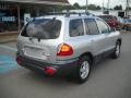 Pewter - Santa Fe GLS Photo No. 3
