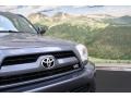 2008 Galactic Gray Mica Toyota 4Runner Limited 4x4  photo #40