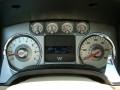 Chapparal Leather Gauges Photo for 2010 Ford F150 #53895725