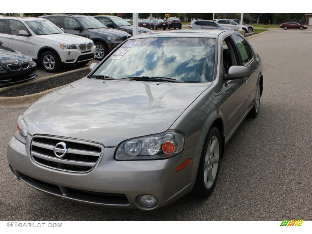 Sterling Mist Metallic 2002 Nissan Maxima SE Exterior Photo #53896460