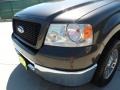 2006 Dark Stone Metallic Ford F150 XLT SuperCrew  photo #38