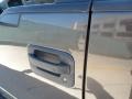 2006 Dark Stone Metallic Ford F150 XLT SuperCrew  photo #50