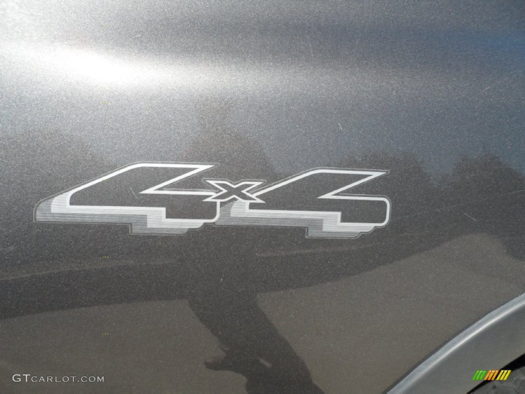 2003 F150 XL Regular Cab 4x4 - Dark Shadow Grey Metallic / Dark Graphite Grey photo #54